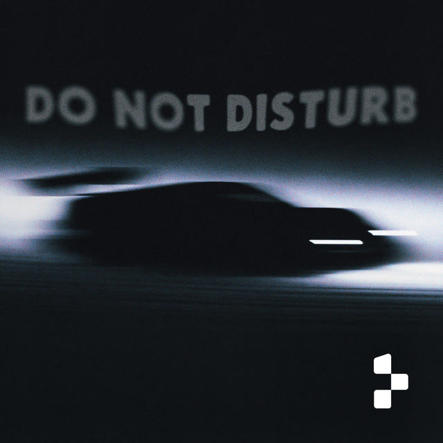 DO NOT DISTURB cover